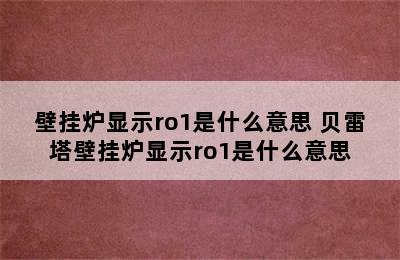 壁挂炉显示ro1是什么意思 贝雷塔壁挂炉显示ro1是什么意思